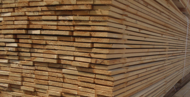 gallery/kereste-dogramalik