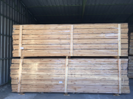 gallery/lambri-2sinif (3)